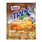 Kent Boringer Trix Kanel Flavoured Drink 200gr  thumbnail