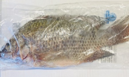 East Coast Black Tilapia (PR KG)