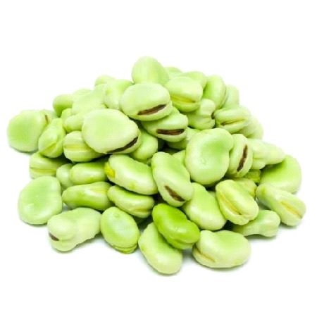 Italia Fersk Fava Bønner
