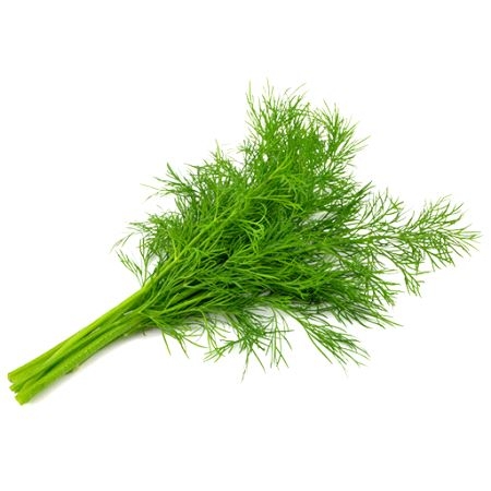 Italia Dill
