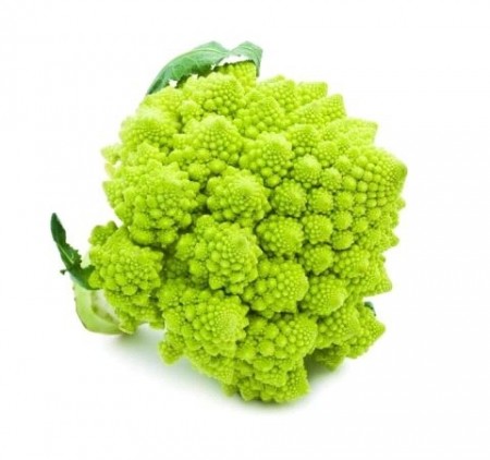 Italia Broccoli